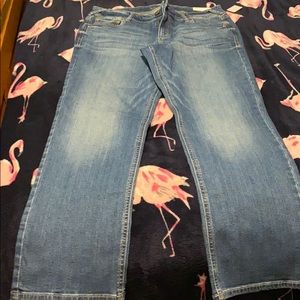 New Maurices Jeans